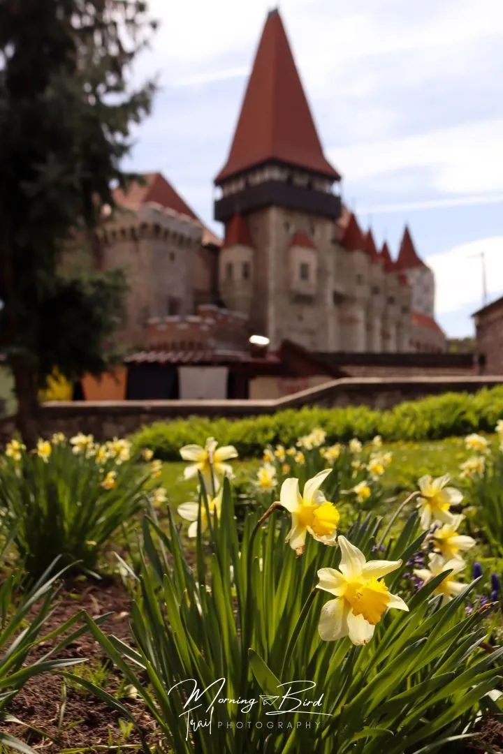 Epic one-week Romanian Roadtrip